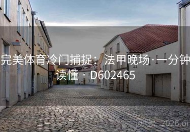 完美体育冷门捕捉：法甲晚场·一分钟读懂 · D602465