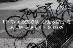 b体育app观赛必读：挪超收官战·隐私保护·玩法大全 · D603785