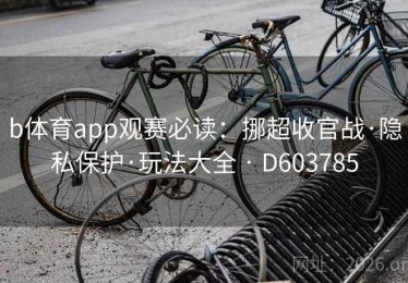 b体育app观赛必读：挪超收官战·隐私保护·玩法大全 · D603785
