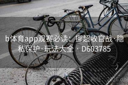 b体育app观赛必读：挪超收官战·隐私保护·玩法大全 · D603785