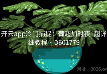 开云app冷门捕捉：葡超加时夜·超详细教程 · D601779