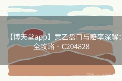 【博天堂app】意乙盘口与赔率深解：全攻略 · C204828
