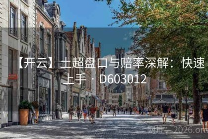 【开云】土超盘口与赔率深解：快速上手 · D603012