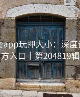 上金年会app玩押大小：深度评测｜官方入口｜第204819辑