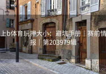 上b体育玩押大小：避坑手册｜赛前情报｜第203979辑