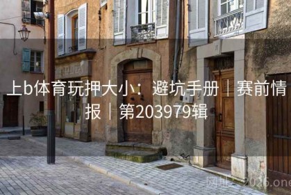 上b体育玩押大小：避坑手册｜赛前情报｜第203979辑