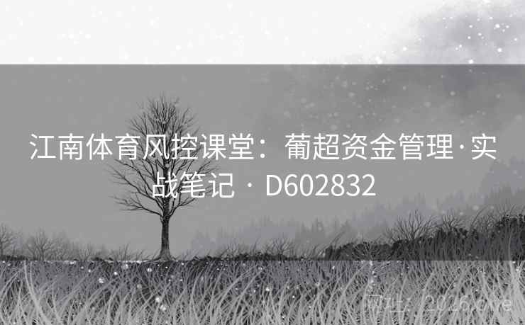 江南体育风控课堂：葡超资金管理·实战笔记 · D602832
