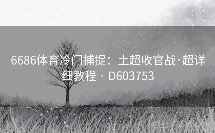 6686体育冷门捕捉:土超收官战·超详细教程 · D603753 6686体育冷门捕捉:土超收官战·超详细教程 · D603753