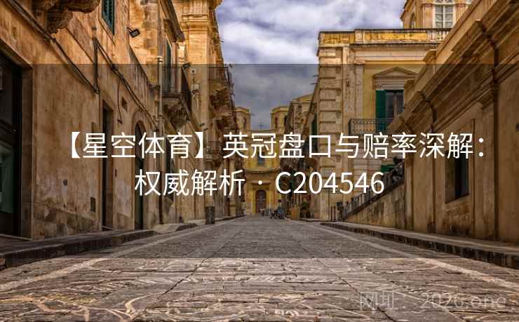 【星空体育】英冠盘口与赔率深解：权威解析 · C204546