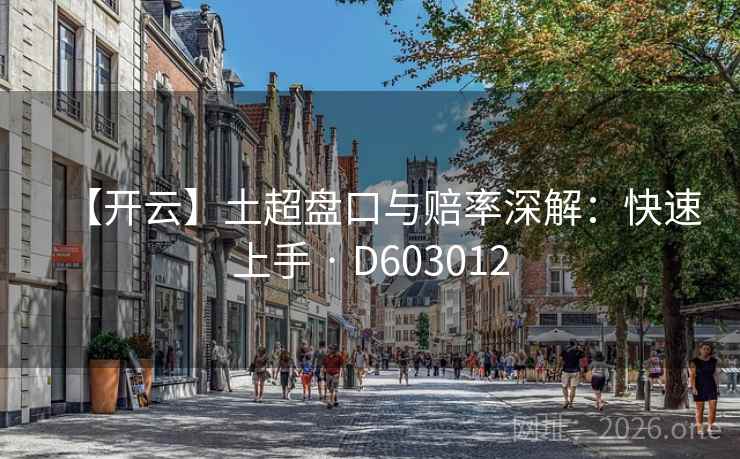 【开云】土超盘口与赔率深解：快速上手 · D603012