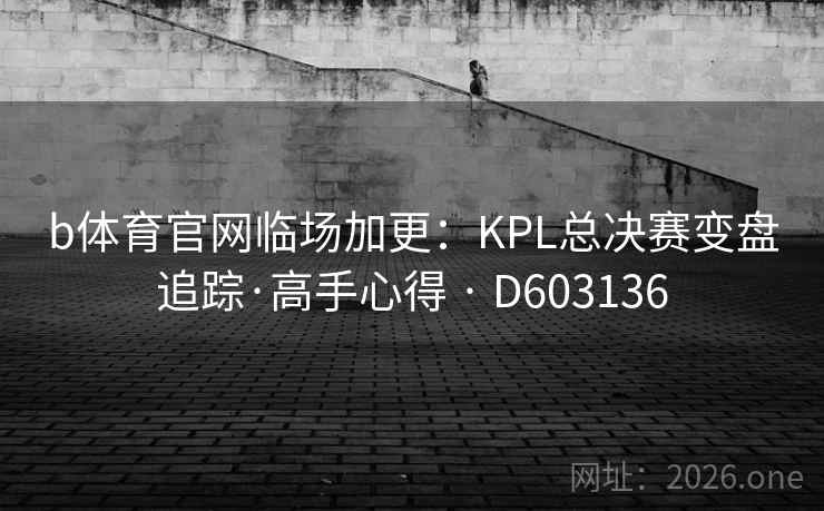 b体育官网临场加更：KPL总决赛变盘追踪·高手心得 · D603136